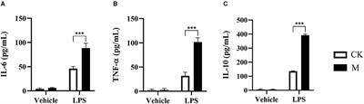 Metabolomics Analysis of Splenic CD19+ B Cells in Mice Chronically Infected With Echinococcus granulosus sensu lato Protoscoleces